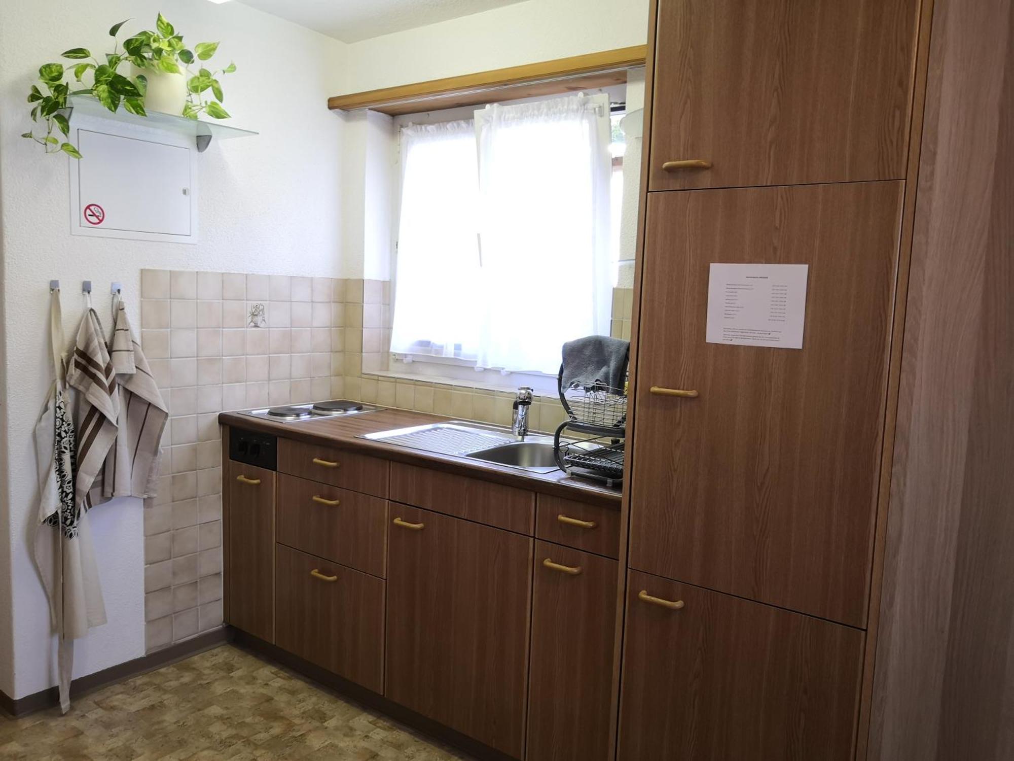 Apartment Am Birkenweg Walde 外观 照片