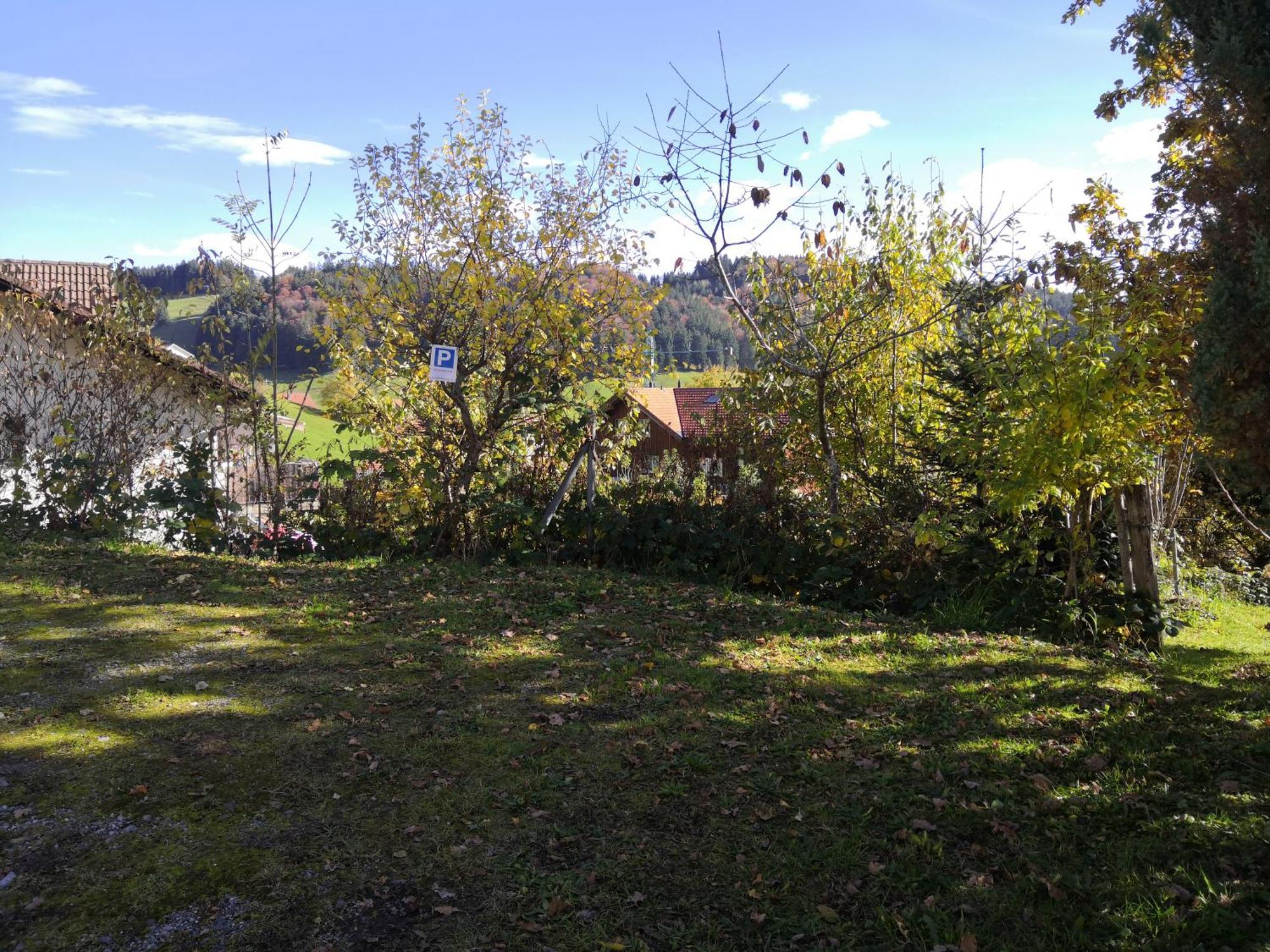 Apartment Am Birkenweg Walde 外观 照片
